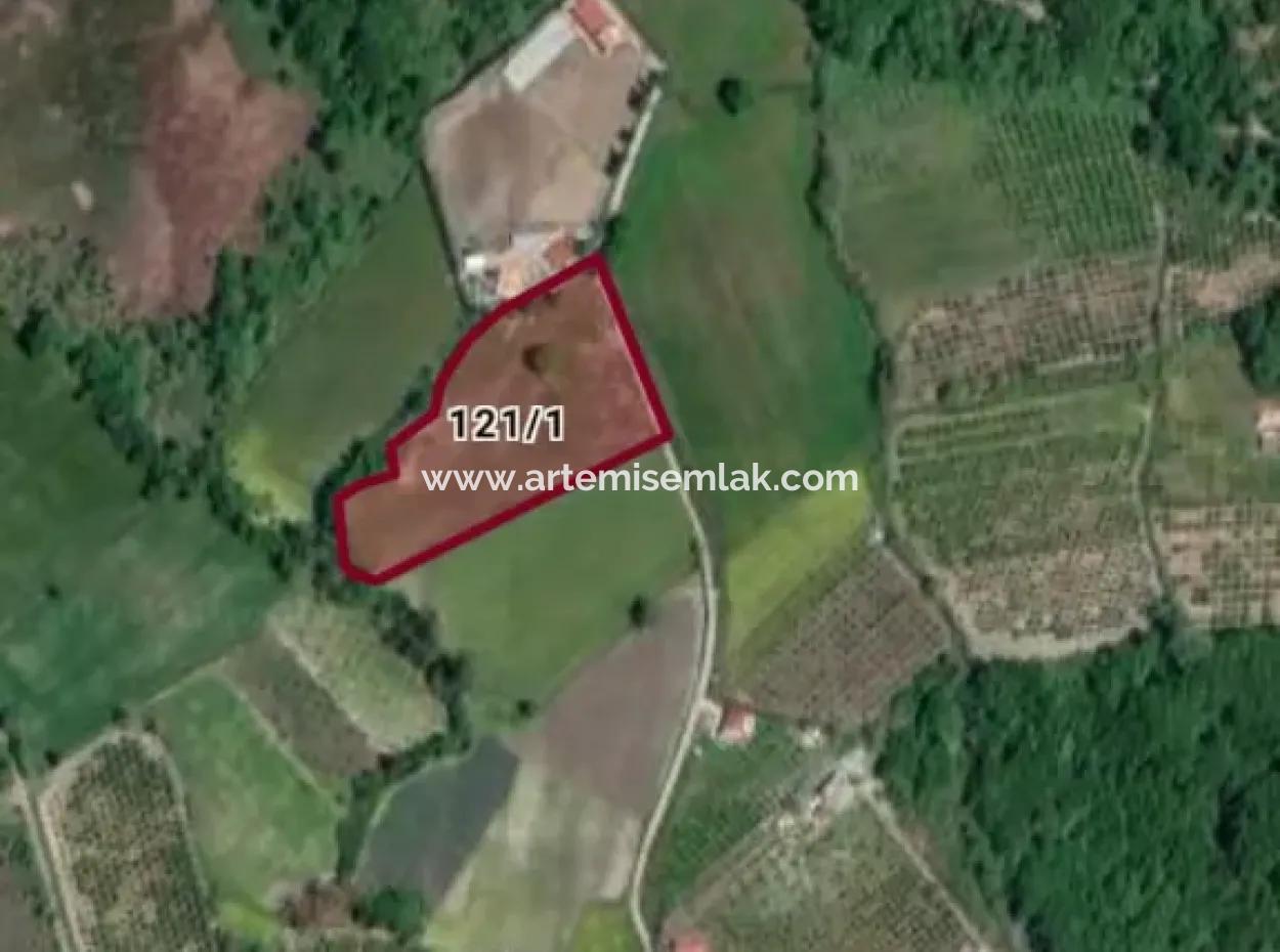 3650 M2 Field For Sale In Köyceğiz Topars.