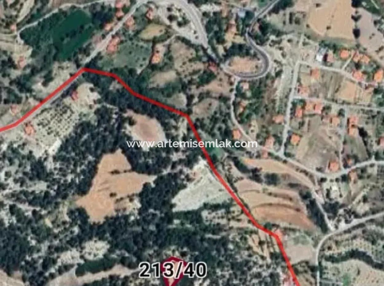 Denizli Çameli Two Parcels With Detached Title Deeds For Sale