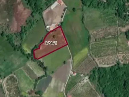 3650 M2 Field For Sale In Köyceğiz Topars.